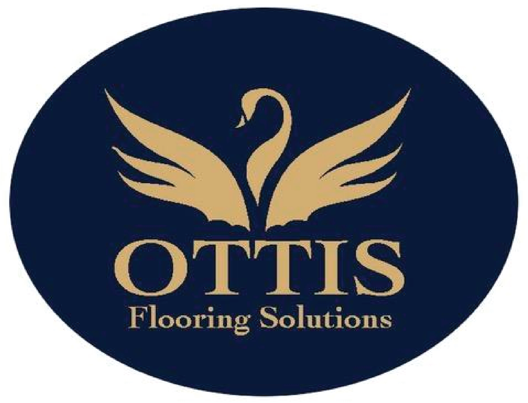 OTTIS logo old